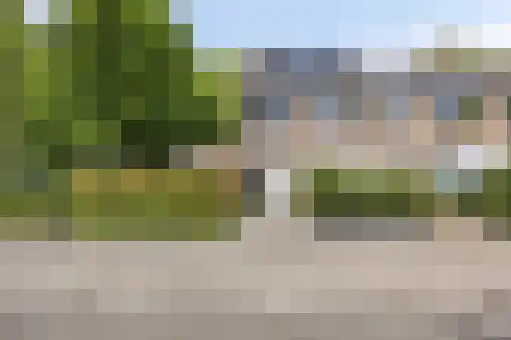 Dennekruid 70 Rotterdam thumbnail 44