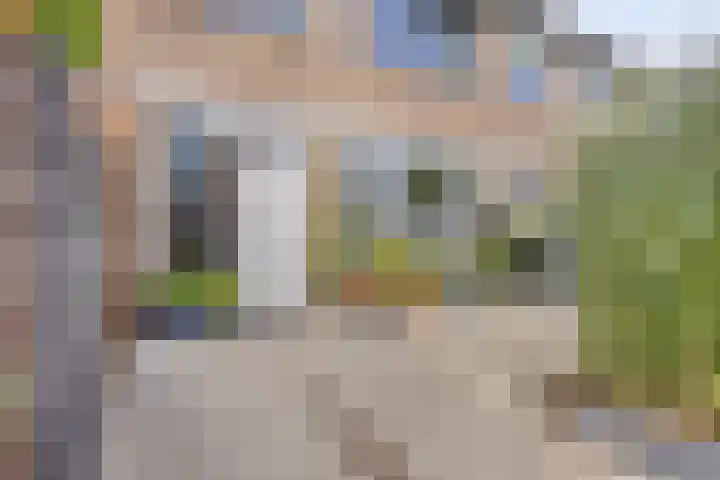 Dennekruid 70 Rotterdam thumbnail 45