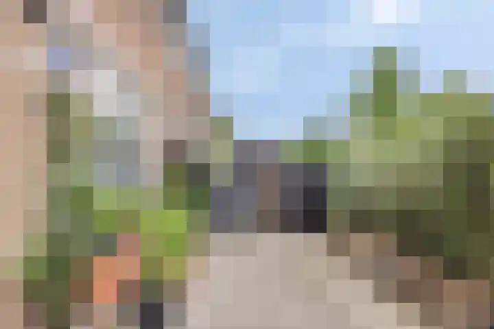 Dennekruid 70 Rotterdam thumbnail 46