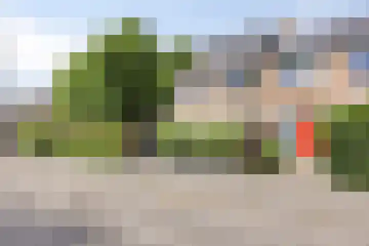 Dennekruid 70 Rotterdam thumbnail 48