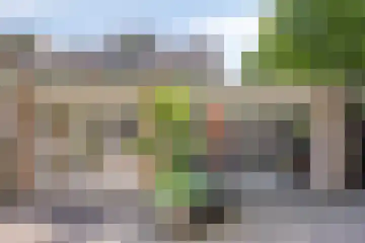Dennekruid 70 Rotterdam thumbnail 5