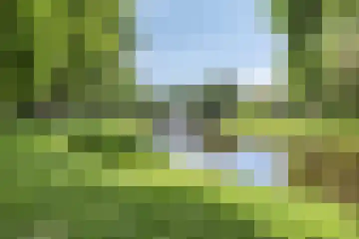 Dennekruid 70 Rotterdam thumbnail 50
