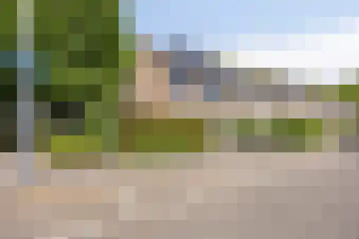 Dennekruid 70 Rotterdam thumbnail 58
