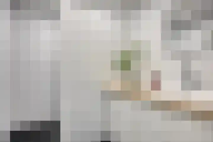 Dennekruid 70 Rotterdam thumbnail 6
