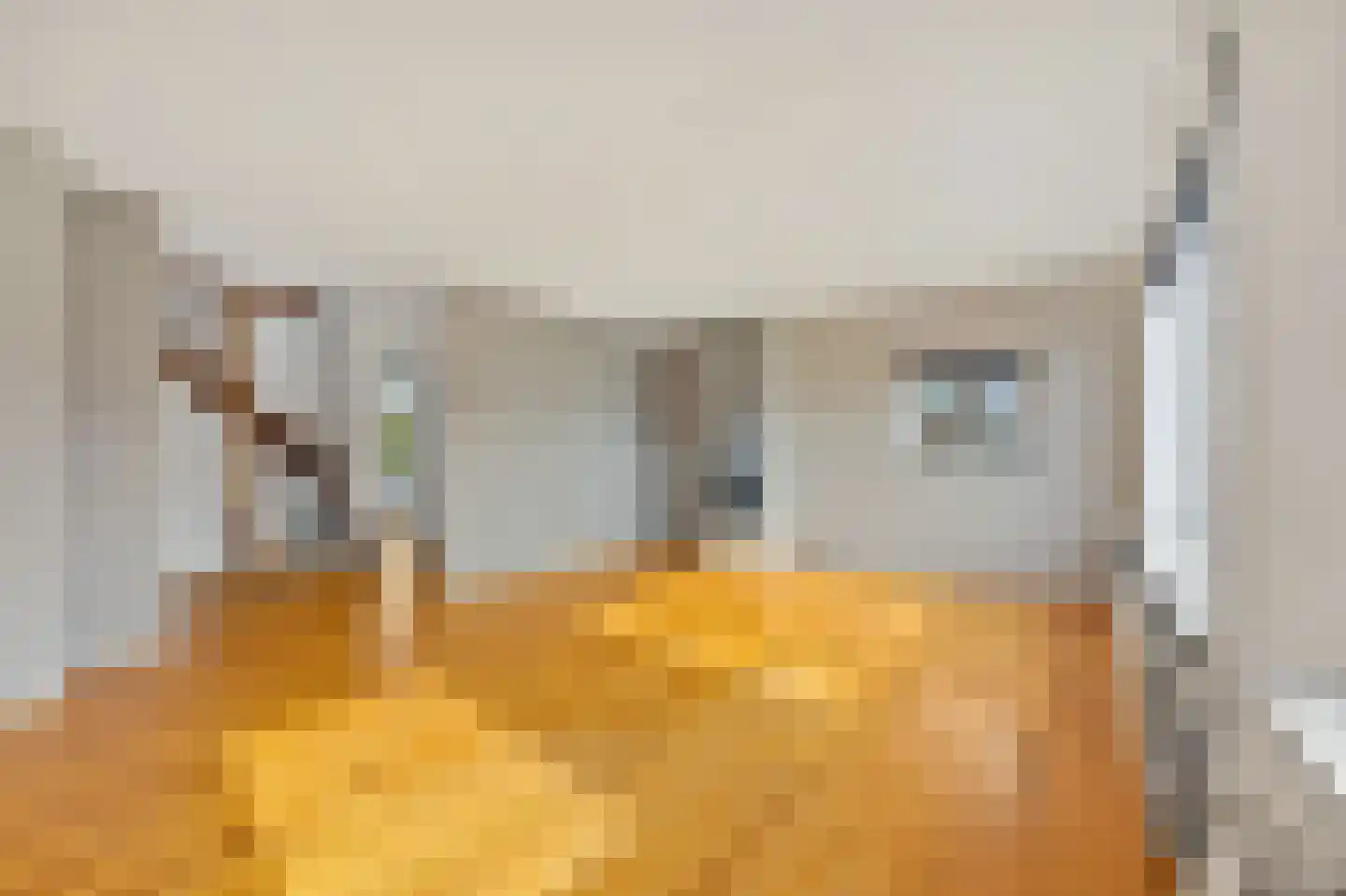 Dennelaan 10 Rijswijk thumbnail 12