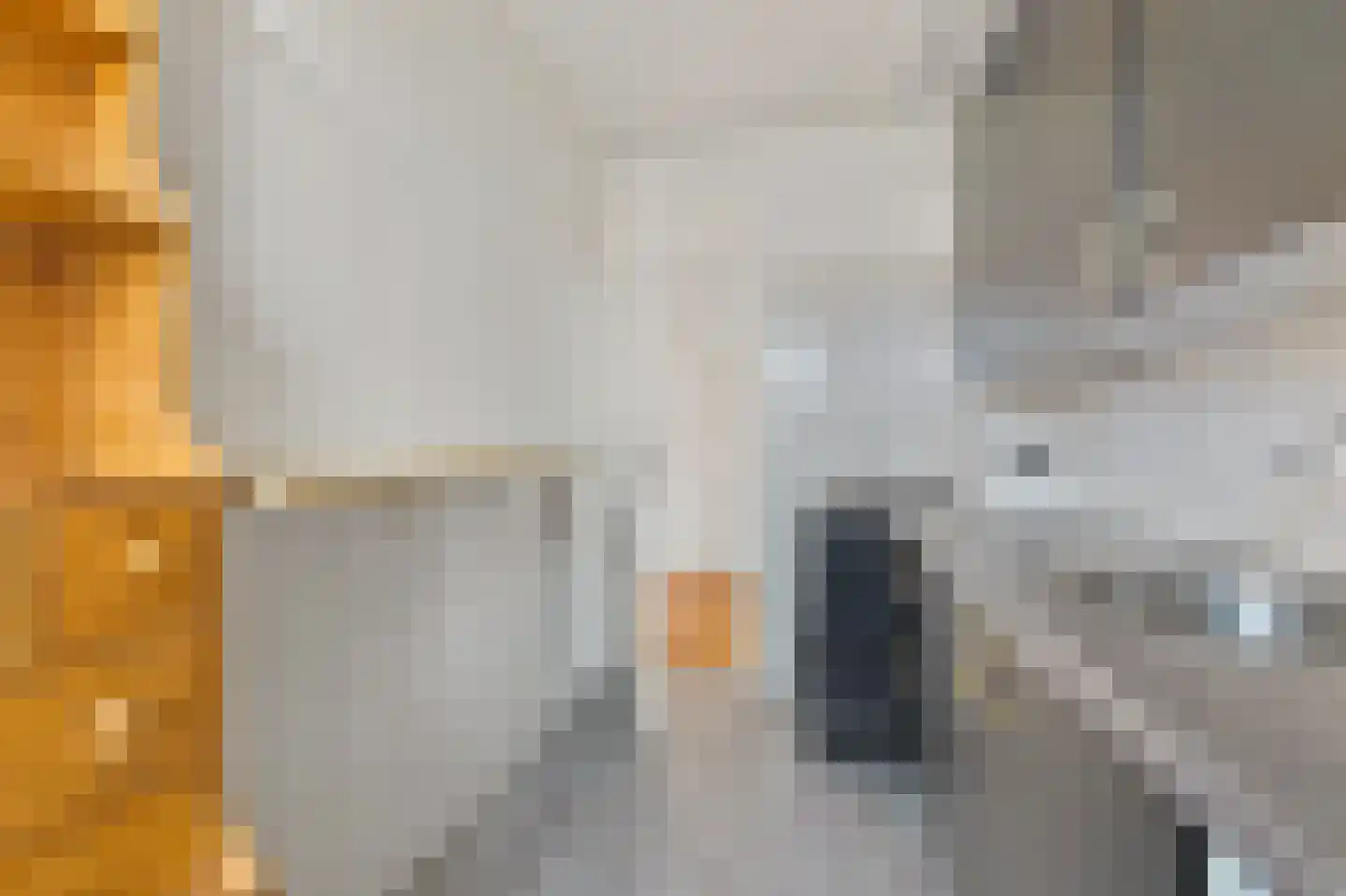 Dennelaan 10 Rijswijk thumbnail 15