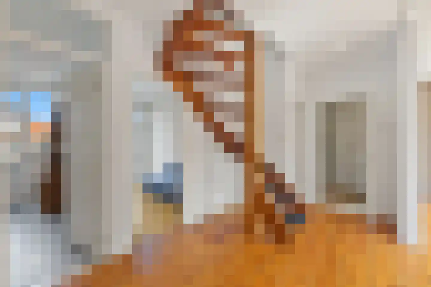 Dennelaan 10 Rijswijk thumbnail 22