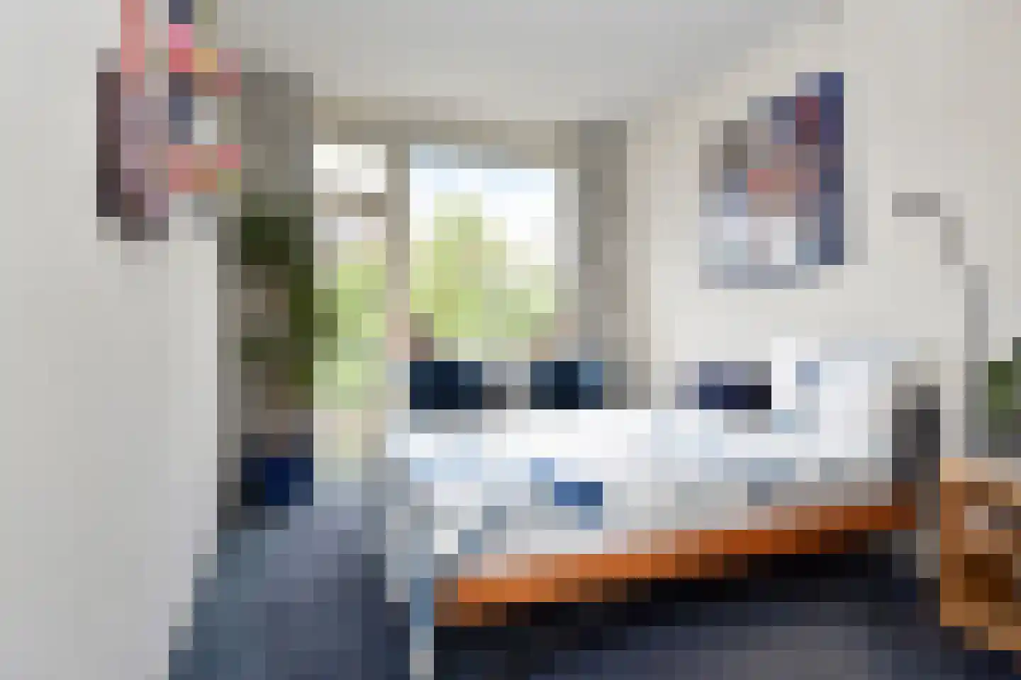 Dennelaan 20 Rijswijk thumbnail 23