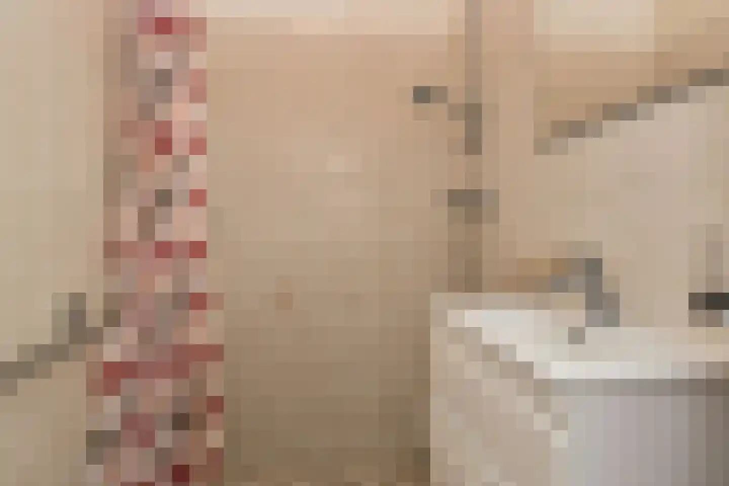 Dennelaan 20 Rijswijk thumbnail 29