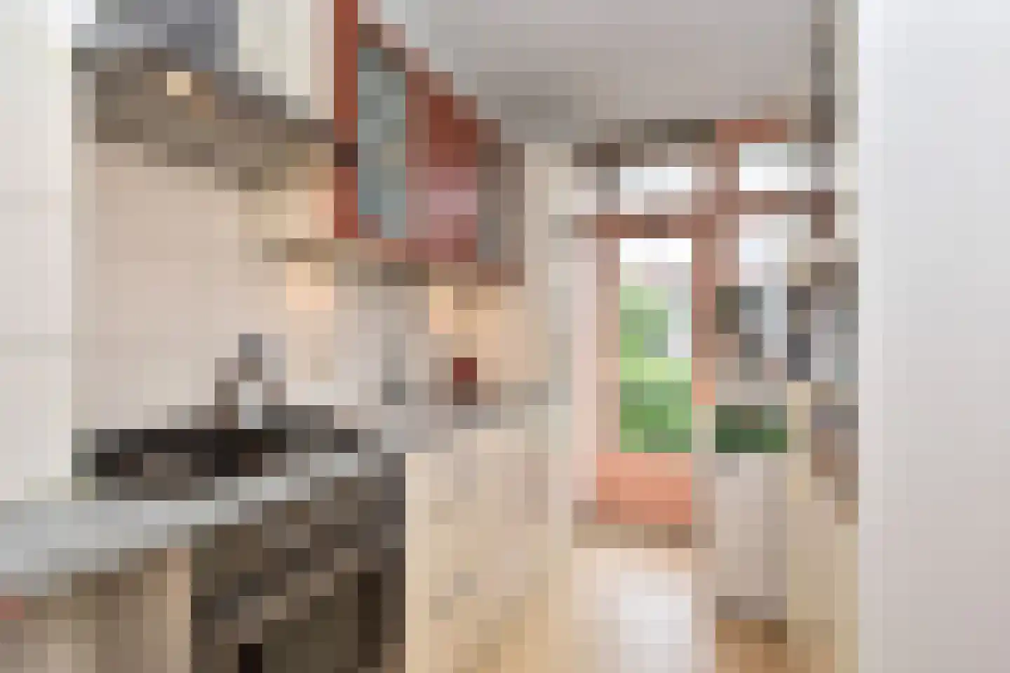 Dennelaan 20 Rijswijk thumbnail 5