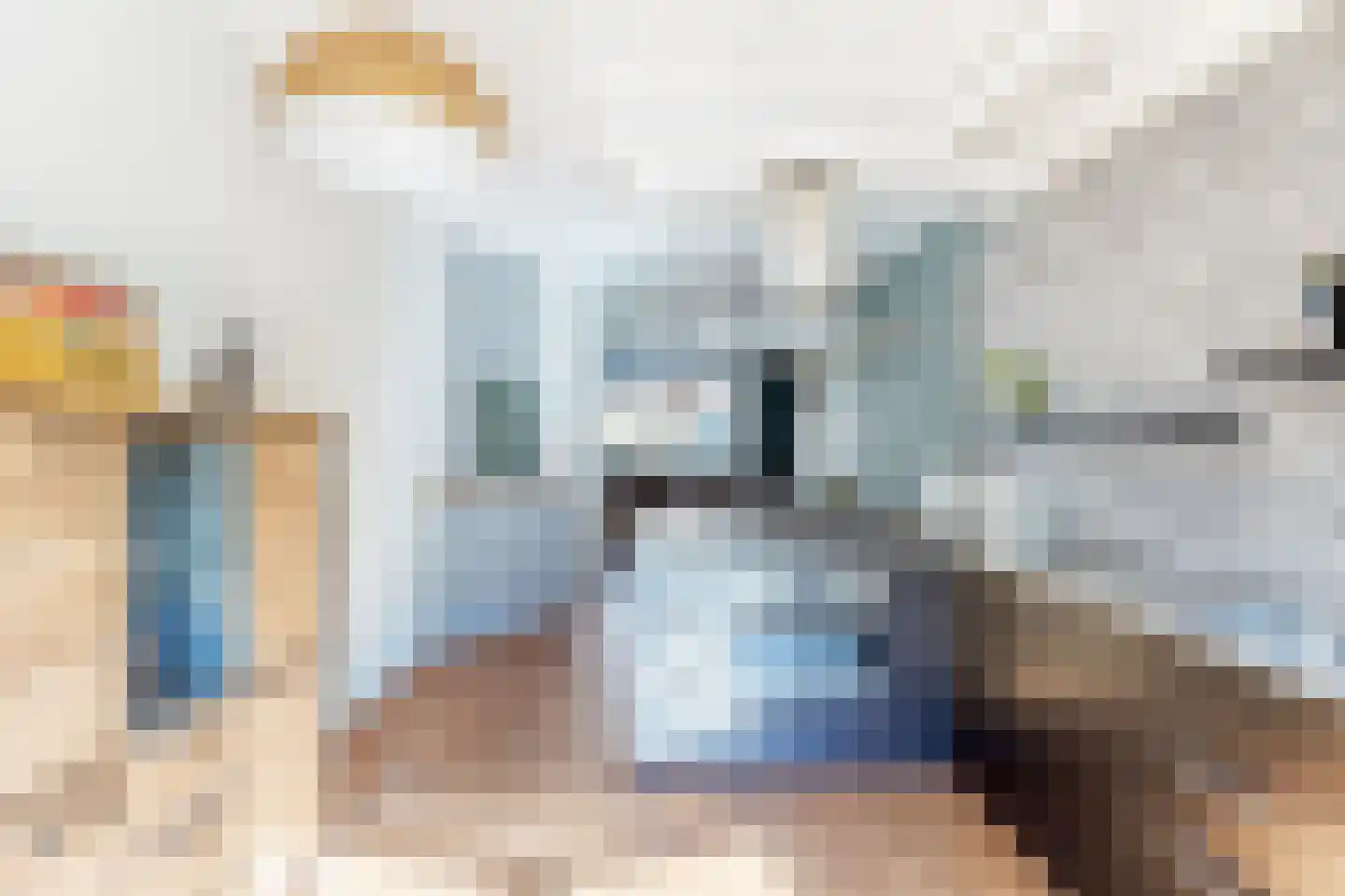 Dennelaan 23 Rijswijk thumbnail 13
