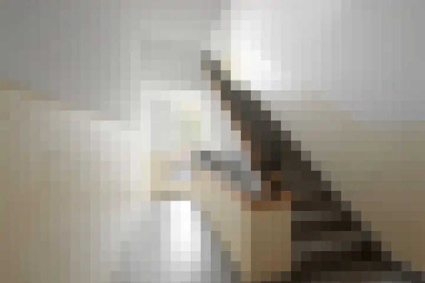 Dennelaan 32 Rijswijk thumbnail 10
