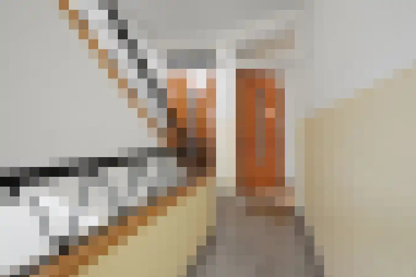 Dennelaan 32 Rijswijk thumbnail 11