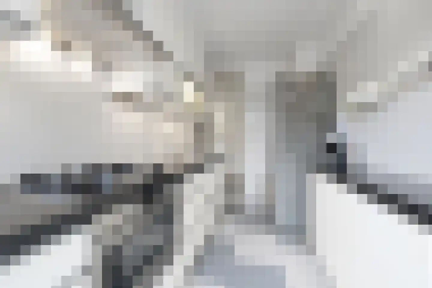 Dennelaan 32 Rijswijk thumbnail 22