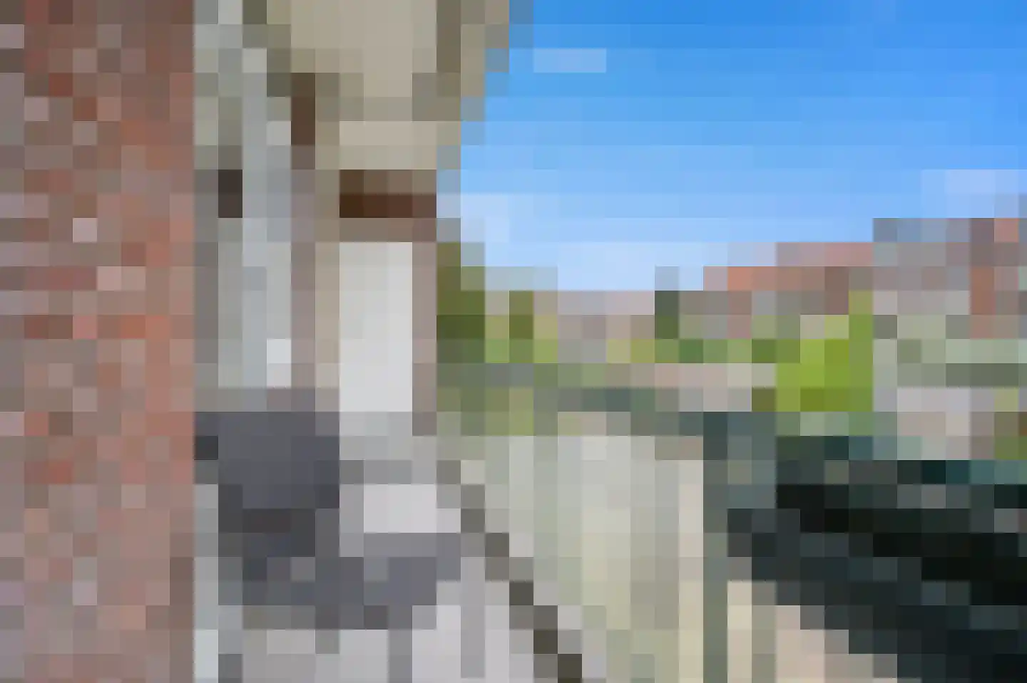 Dennelaan 32 Rijswijk thumbnail 24