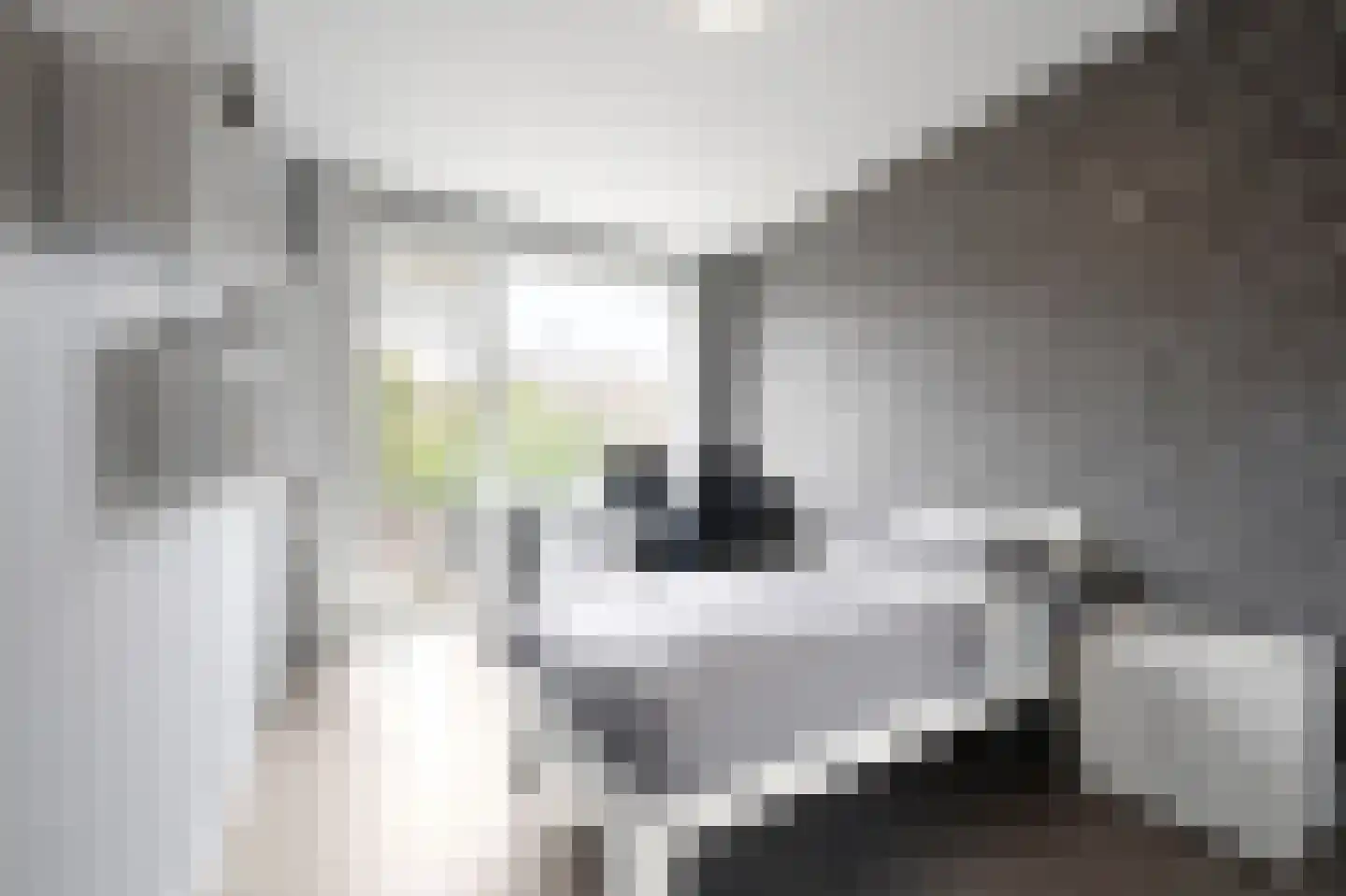 Dennelaan 32 Rijswijk thumbnail 29