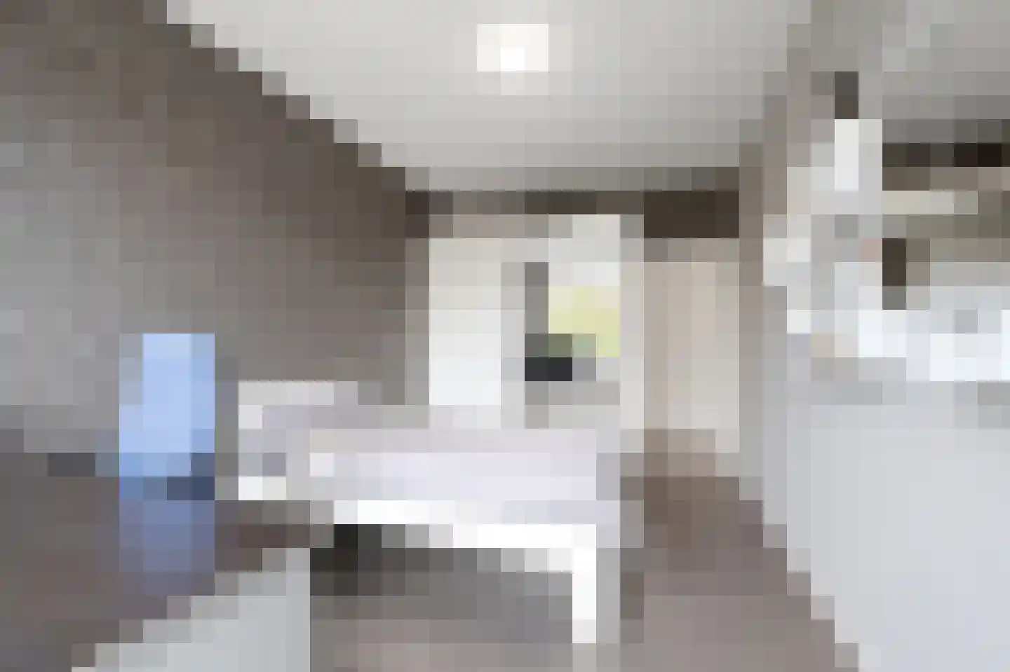 Dennelaan 32 Rijswijk thumbnail 30