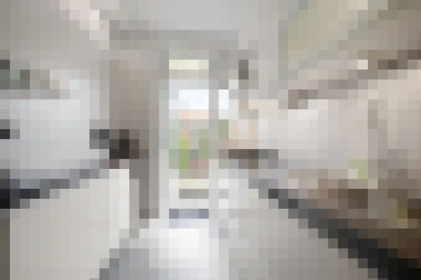 Dennelaan 32 Rijswijk thumbnail 4