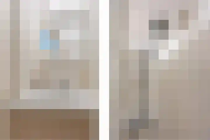 Dennelaan 38 Rijswijk thumbnail 17