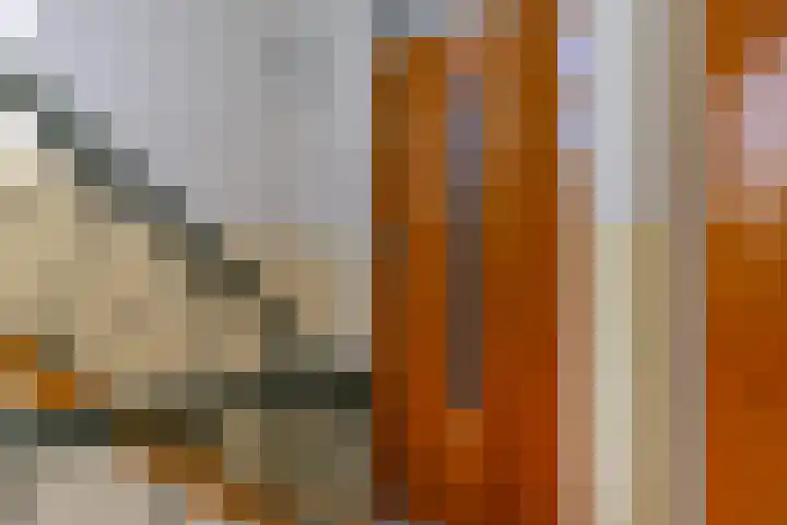 Dennelaan 38 Rijswijk thumbnail 19
