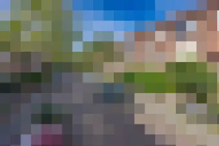 Dennelaan 38 Rijswijk thumbnail 22