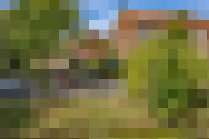Dennelaan 38 Rijswijk thumbnail 26