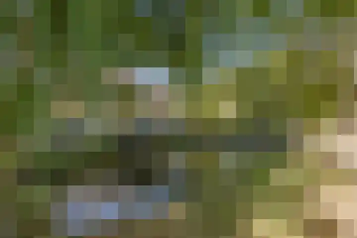 Dennelaan 38 Rijswijk thumbnail 27