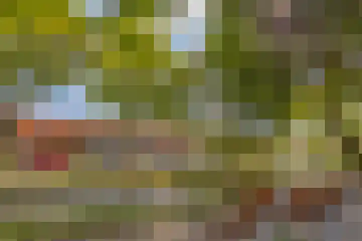 Dennelaan 38 Rijswijk thumbnail 28