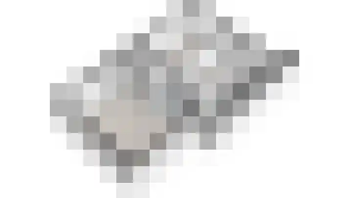 Dennelaan 38 Rijswijk thumbnail 31