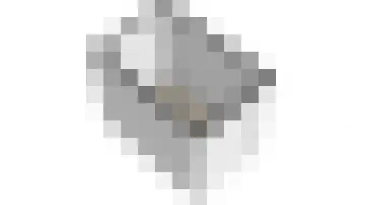 Dennelaan 38 Rijswijk thumbnail 32