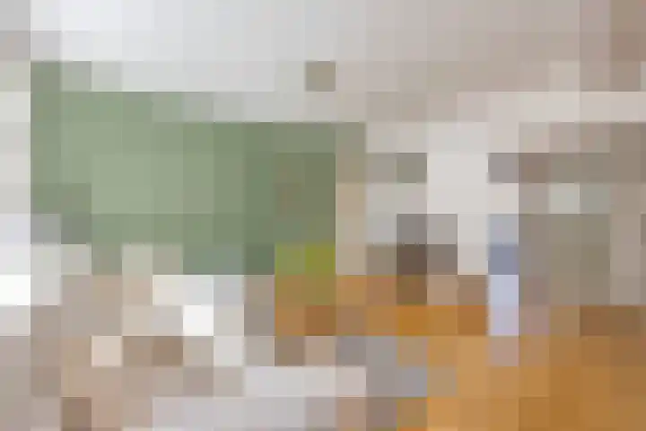 Dennelaan 38 Rijswijk thumbnail 5