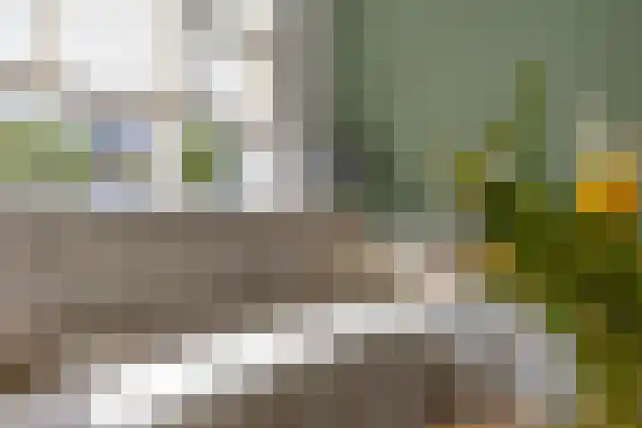 Dennelaan 38 Rijswijk thumbnail 6