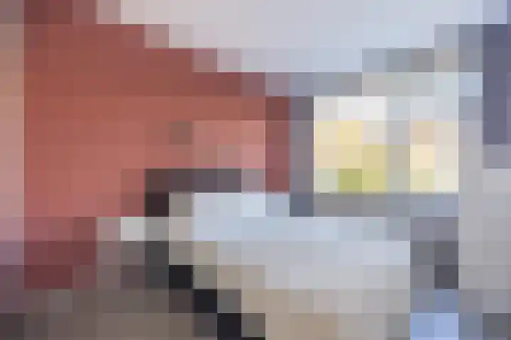Dennelaan 38 Rijswijk thumbnail 8