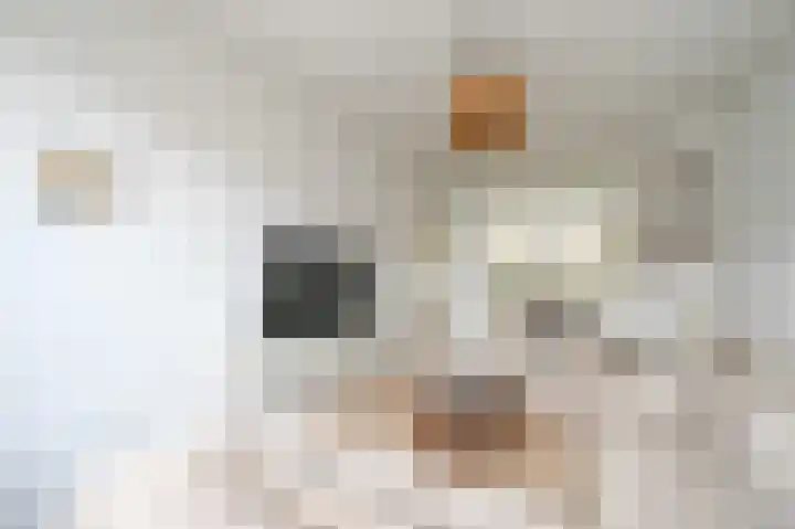 Dennelaan 9 Rijswijk thumbnail 15