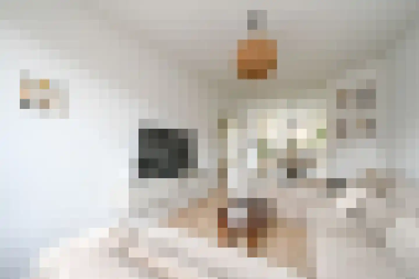 Dennelaan 9 Rijswijk thumbnail 15
