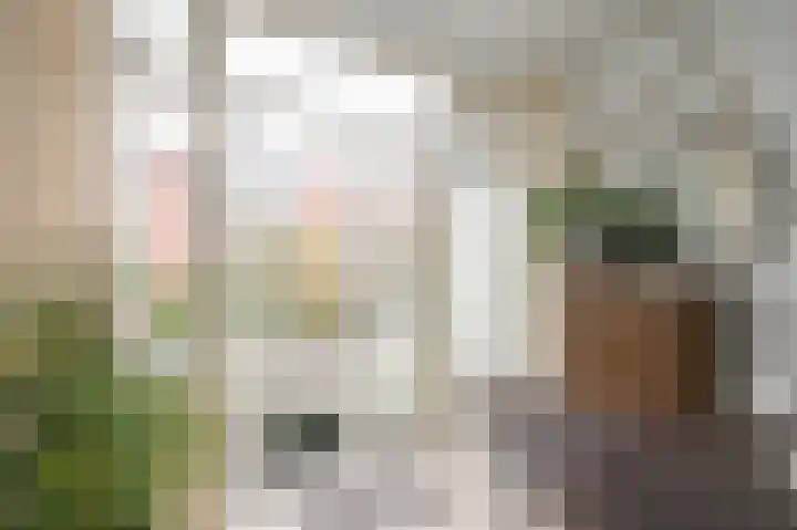 Dennelaan 9 Rijswijk thumbnail 17