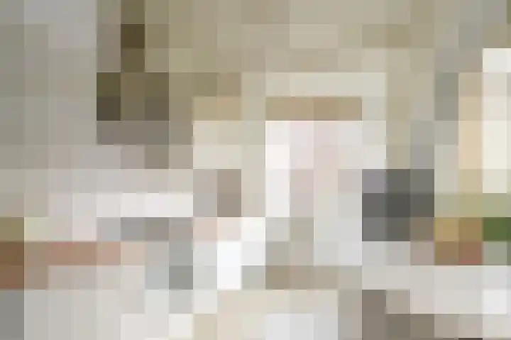 Dennelaan 9 Rijswijk thumbnail 21