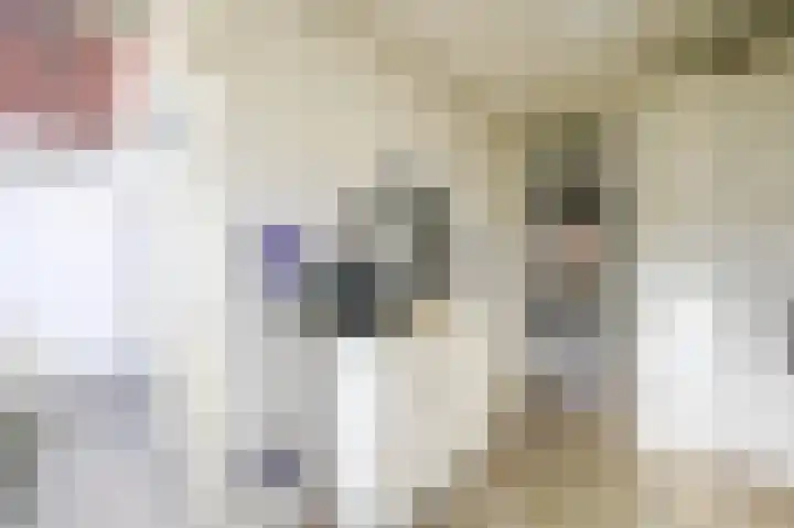 Dennelaan 9 Rijswijk thumbnail 22
