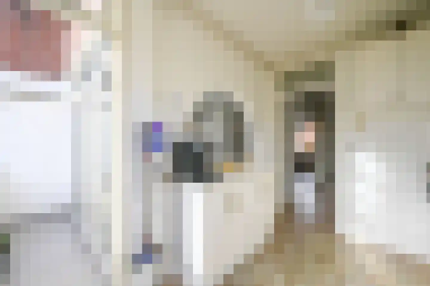 Dennelaan 9 Rijswijk thumbnail 22