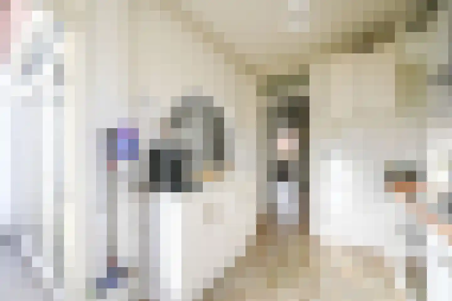 Dennelaan 9 Rijswijk thumbnail 23