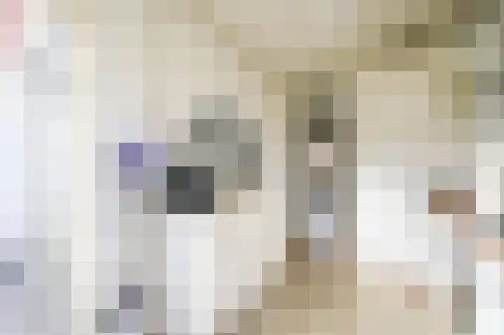 Dennelaan 9 Rijswijk thumbnail 23