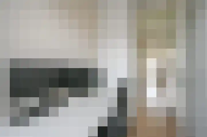 Dennelaan 9 Rijswijk thumbnail 26