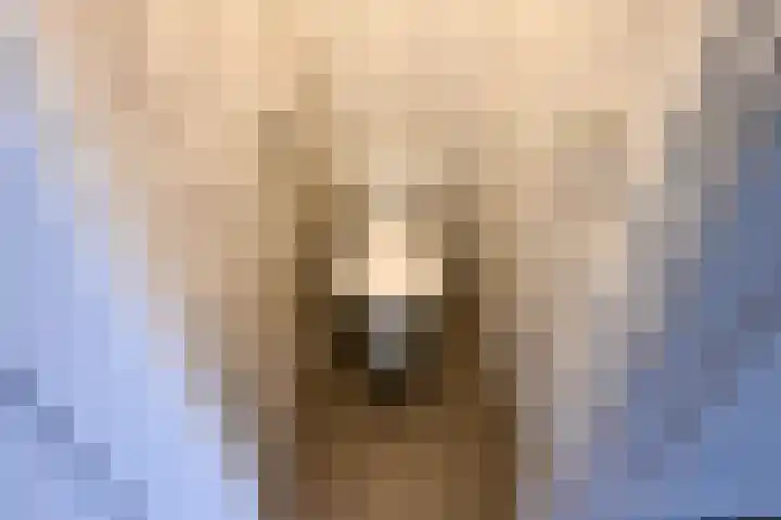 Dennelaan 9 Rijswijk thumbnail 28