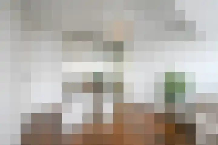 Dennelaan 9 Rijswijk thumbnail 33
