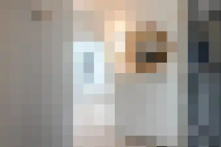 Dennelaan 9 Rijswijk thumbnail 9