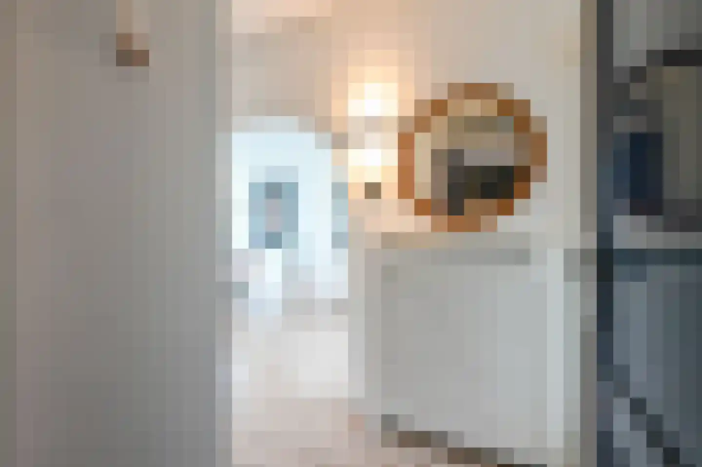 Dennelaan 9 Rijswijk thumbnail 9