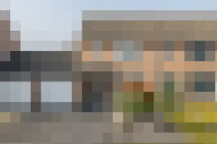 Dennelaar 18 Veghel