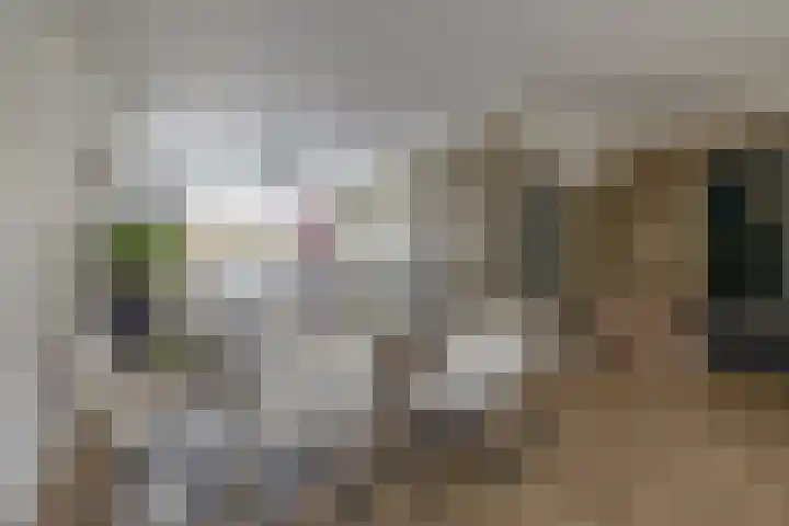 Dennelaar 18 Veghel thumbnail 12