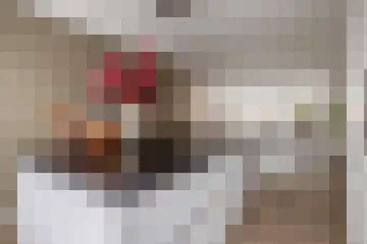 Dennelaar 18 Veghel thumbnail 13