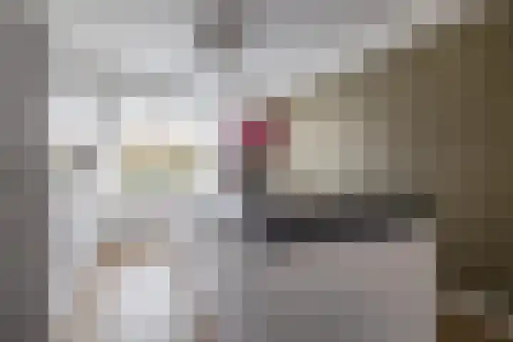 Dennelaar 18 Veghel thumbnail 14